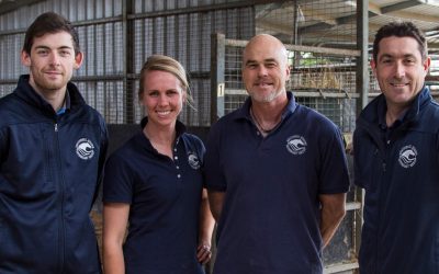 The Southwest Equine team is growing!