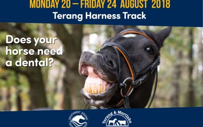 Terang Equine Dental Week