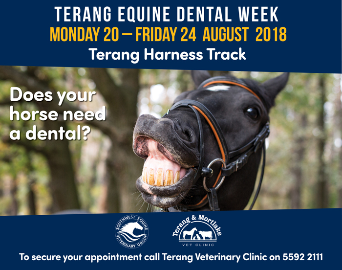 Terang Equine Dental Week