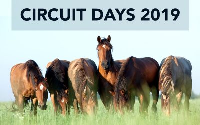 Circuit Days 2019