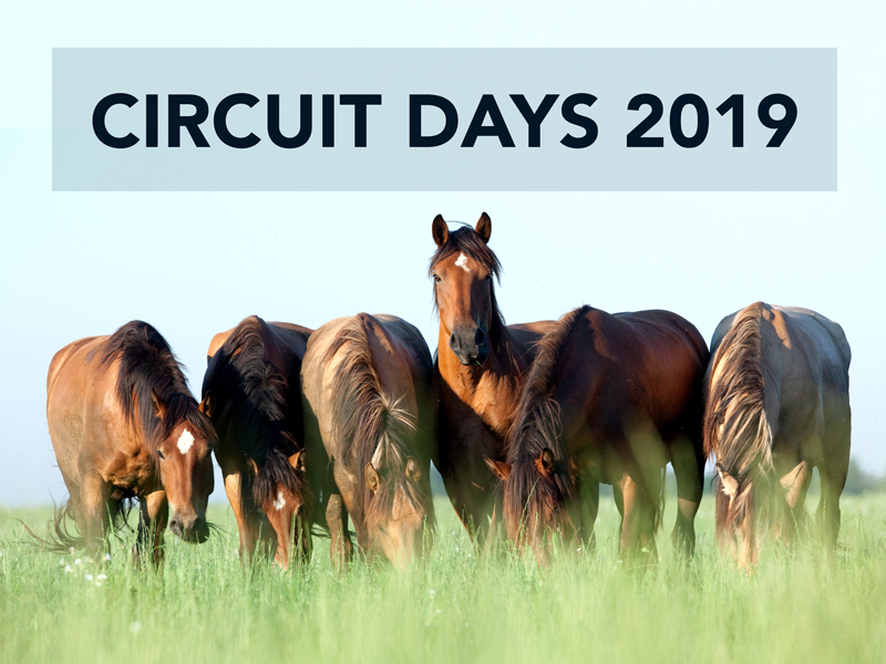 Circuit Days 2019